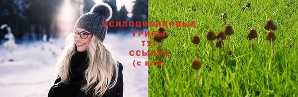 сатива Белоозёрский