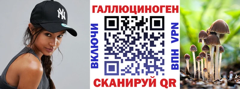 купить наркотики сайты Кремёнки Галлюциногенные грибы Psilocybine cubensis